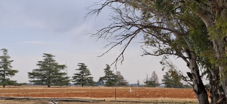Commercial Property for Sale in Bainsvlei Free State